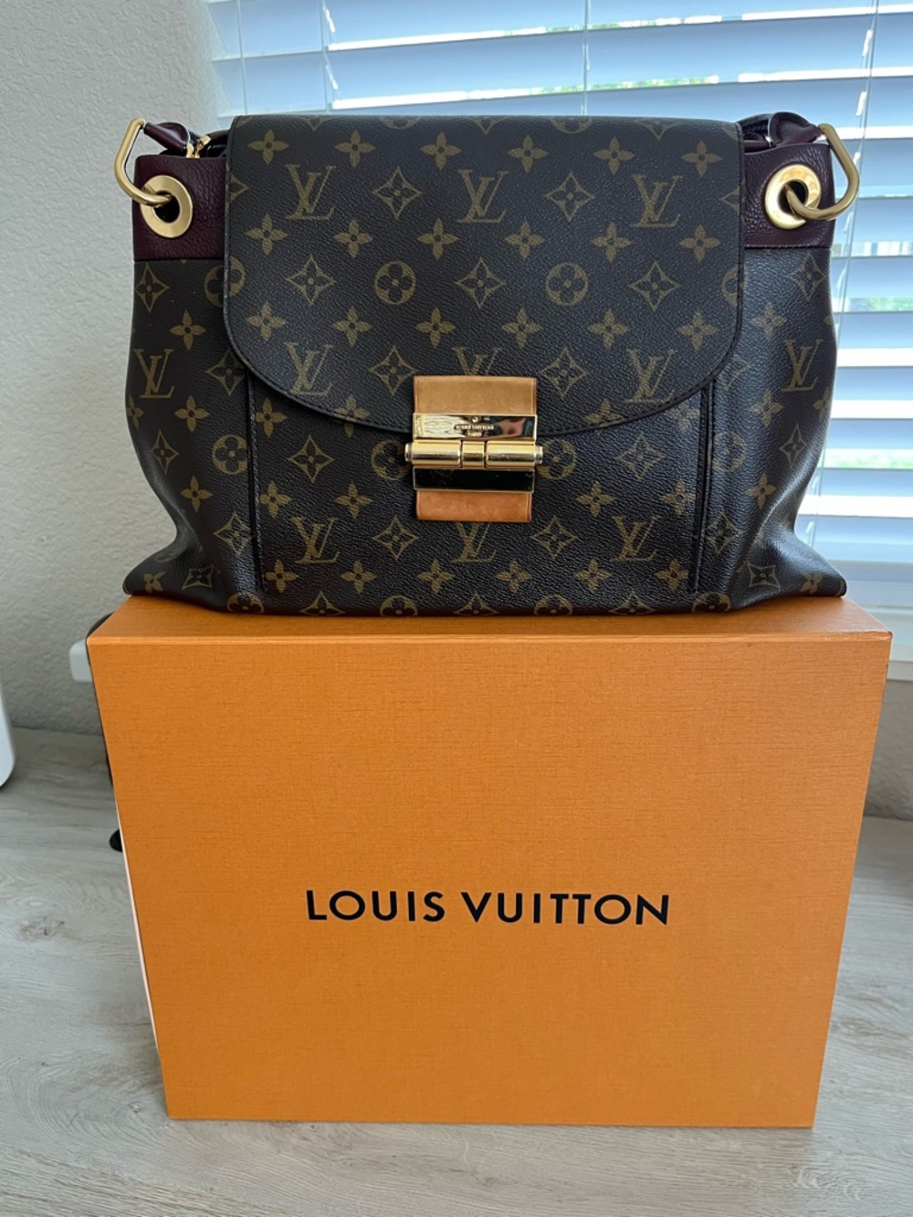 EUC Louis Vuitton Olympe Monogram Shoulder Bag in Brown with Burgundy Trim - Picture 2 of 13